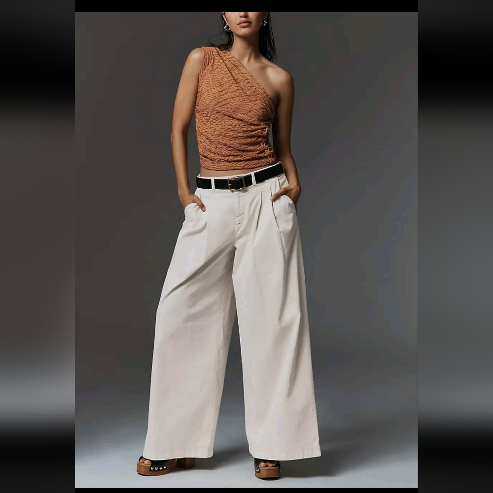 Anthropologie Low-Rise Pleated Wide-Leg Trousers Neutral Tan Size 14 Tall New